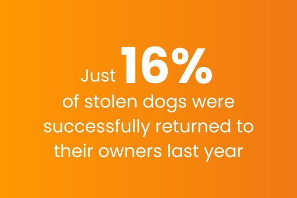 Pet Theft Awareness Week Blog Image 2