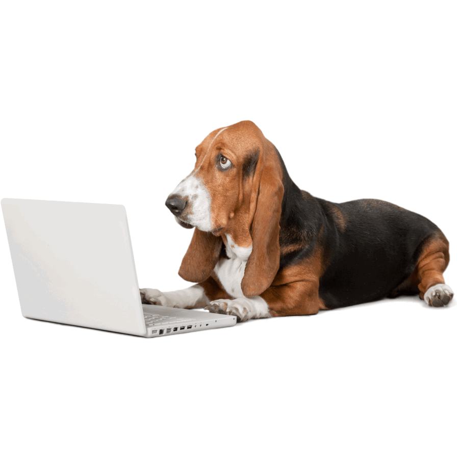 Order a DNA protected profile image