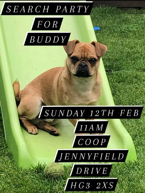 Search Party for Buddy