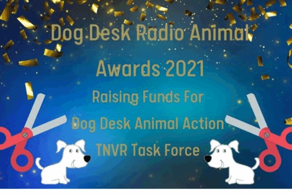 Dog Desk Radio Awards