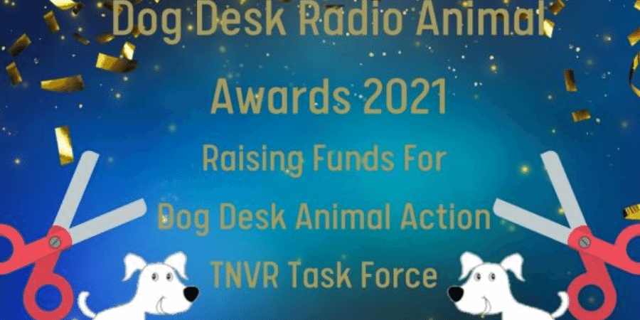 Dog Desk Radio Awards