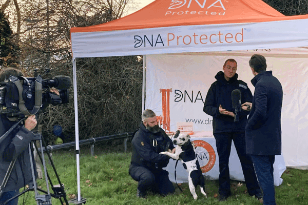 Wiltshire Blog Preview