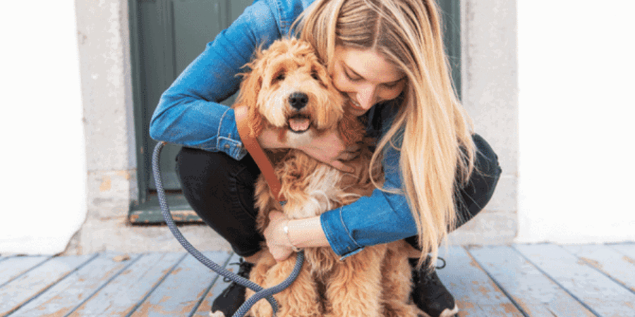 Pet Theft Awareness Blog