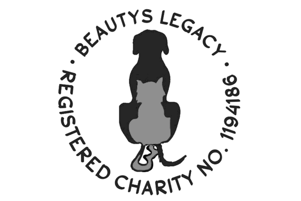 Interview With Lisa Dean From Beauty’S Legacy